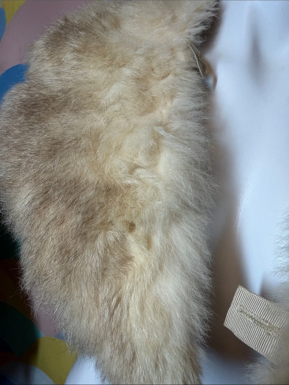 Vintage Genuine Coyote Fur Detachable Coat Collar Natural Winter Trim